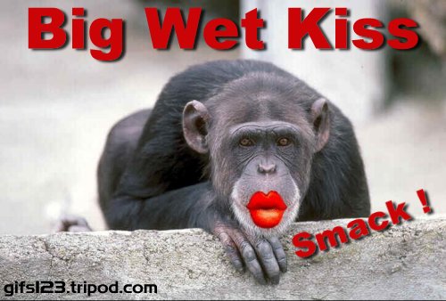 a big wet kiss !
